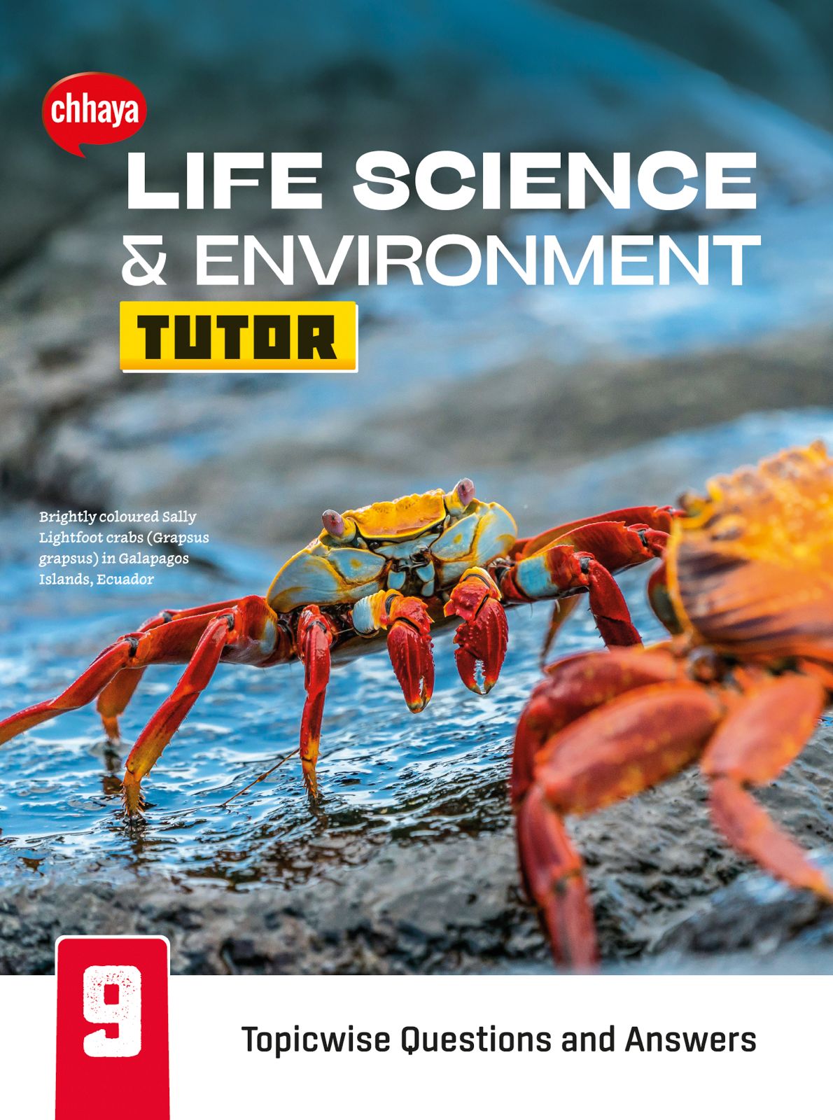 Class IX - Life Science & Environment Tutor (2021)